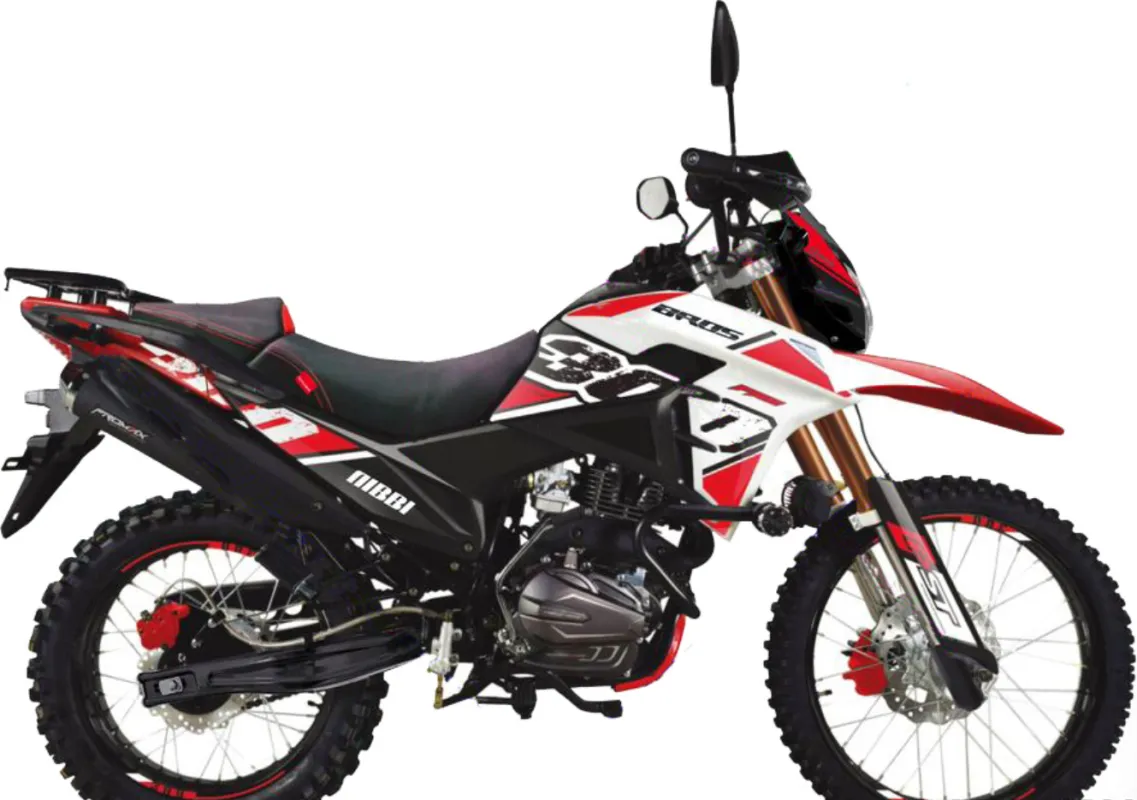 Мотоцикл RACER RC300-GY8B Bros