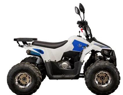 Квадроцикл Yacota Raposa 130 PRO-SPORT